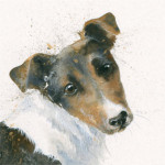 Russell (Jack Russell) Russell (Jack Russell)
