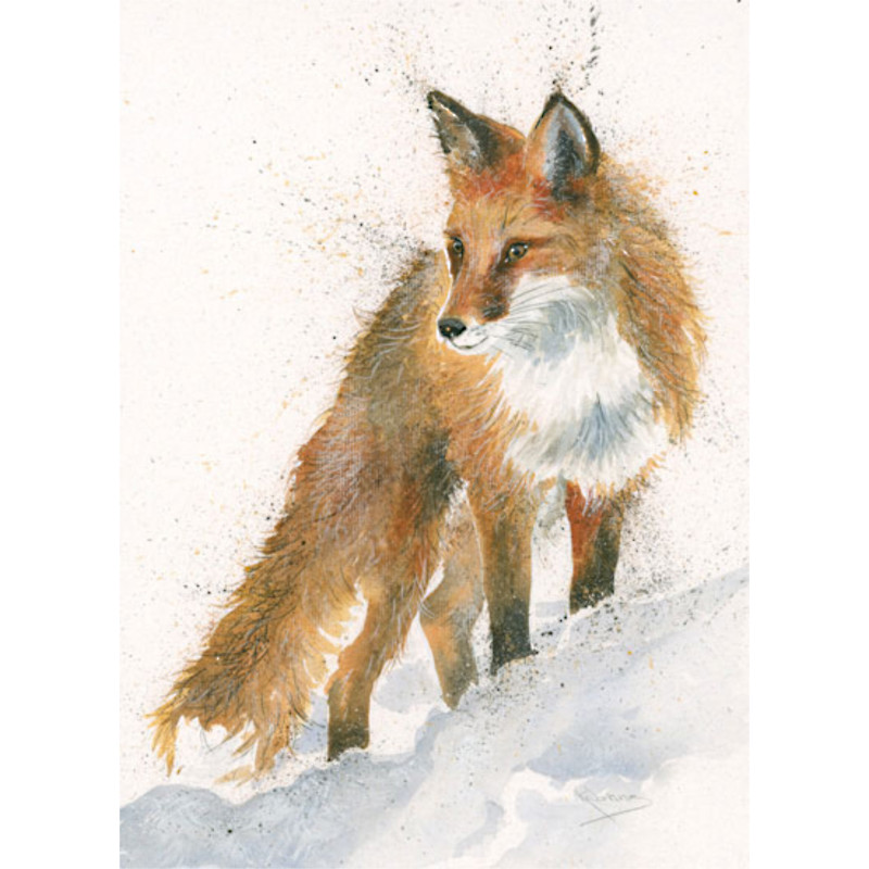 Ready For Business (Fox) Ready For Business (Fox)