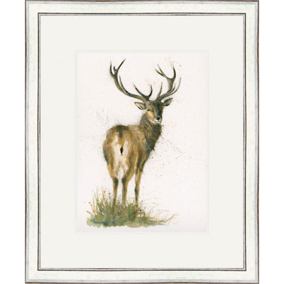 Highlander (Stag) - LGE Highlander (Stag) - LGE
