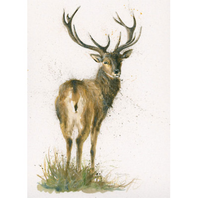 Highlander (Stag) - LGE