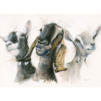 Just Kidding (Goats) - LGE