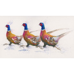 Running Order (Pheasants)