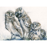 A Family Portrait (Owls) A Family Portrait (Owls)