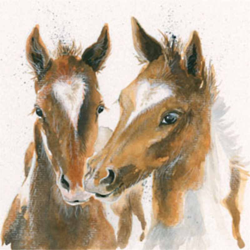 Foaling in Love