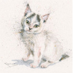 Tiny Tim (Cat) Tiny Tim (Cat)
