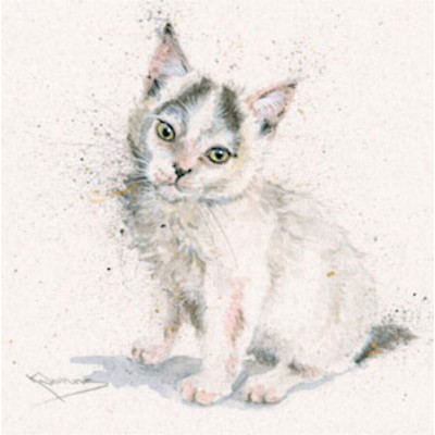 Tiny Tim (Cat)