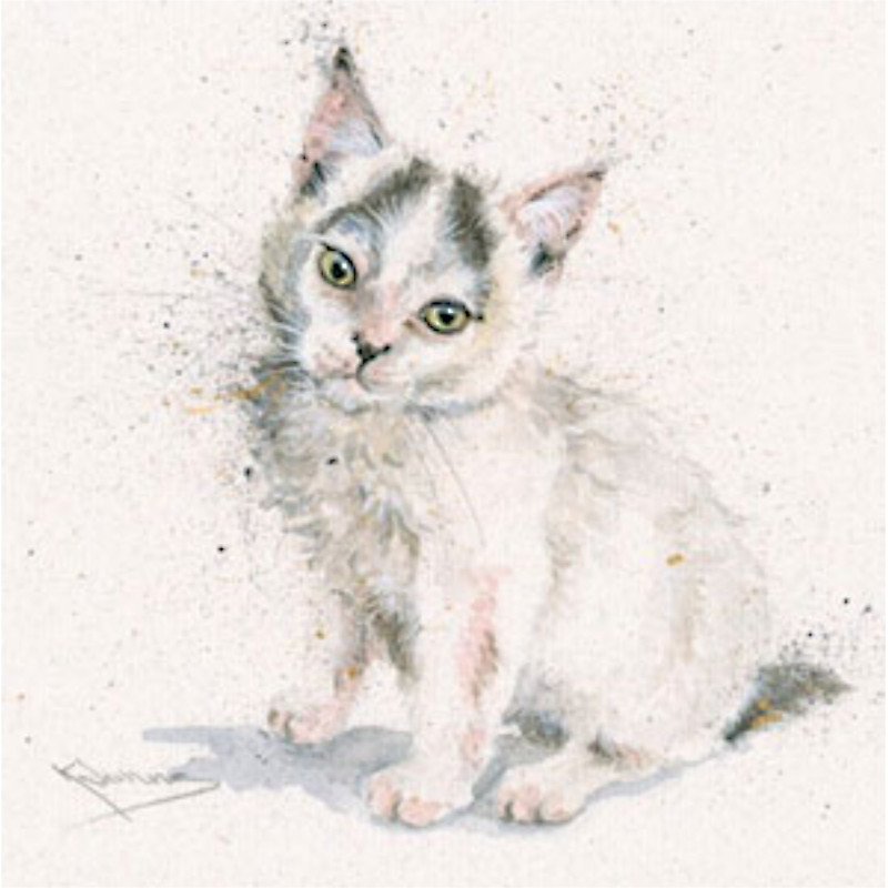 Tiny Tim (Cat) Tiny Tim (Cat)