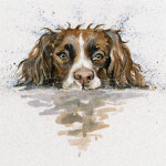 Scooby (Springer) Scooby (Springer)