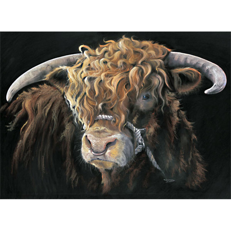 Big Mac (Highland Bull) Small