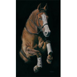 Leap of Faith (Horse)