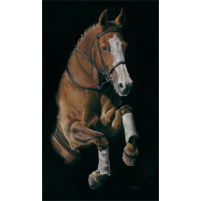 Leap of Faith (Horse)