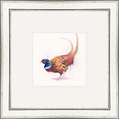 True Gent (Pheasant) True Gent (Pheasant)