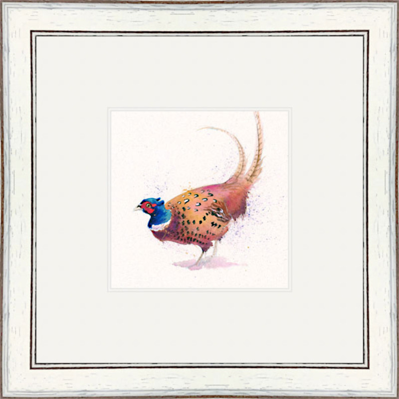 True Gent (Pheasant) True Gent (Pheasant)