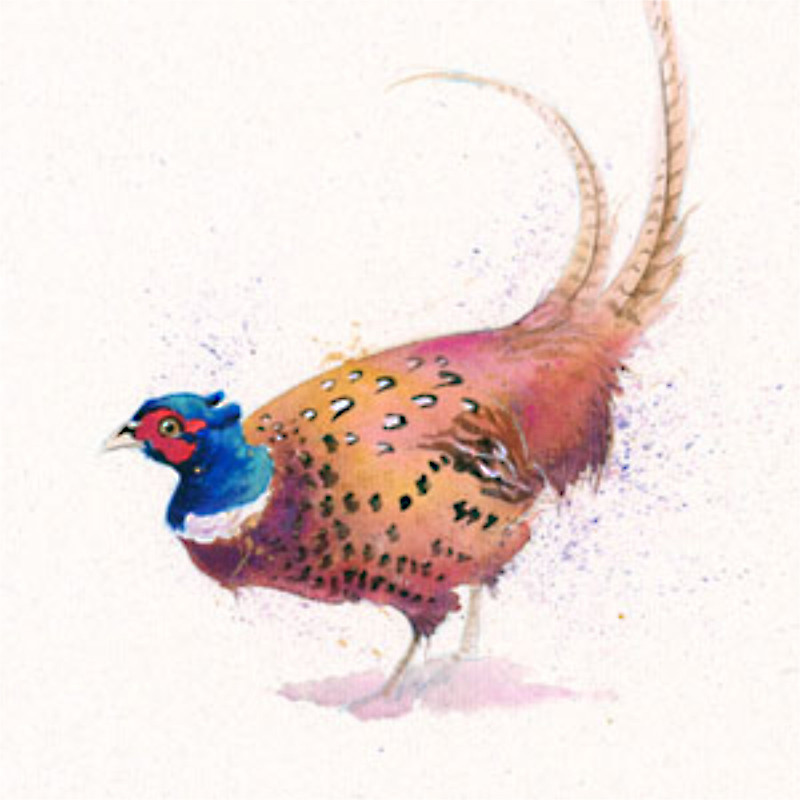 True Gent (Pheasant) True Gent (Pheasant)