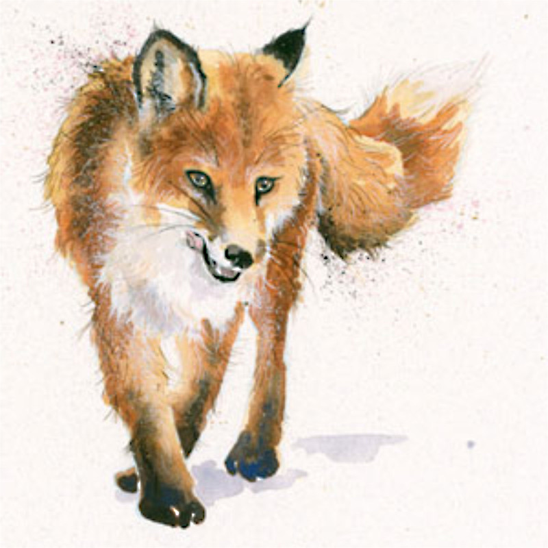 Lady Luck (Fox) Lady Luck (Fox)