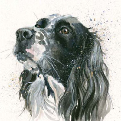 Max (Setter)