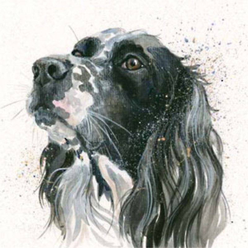 Max (Setter) Max (Setter)