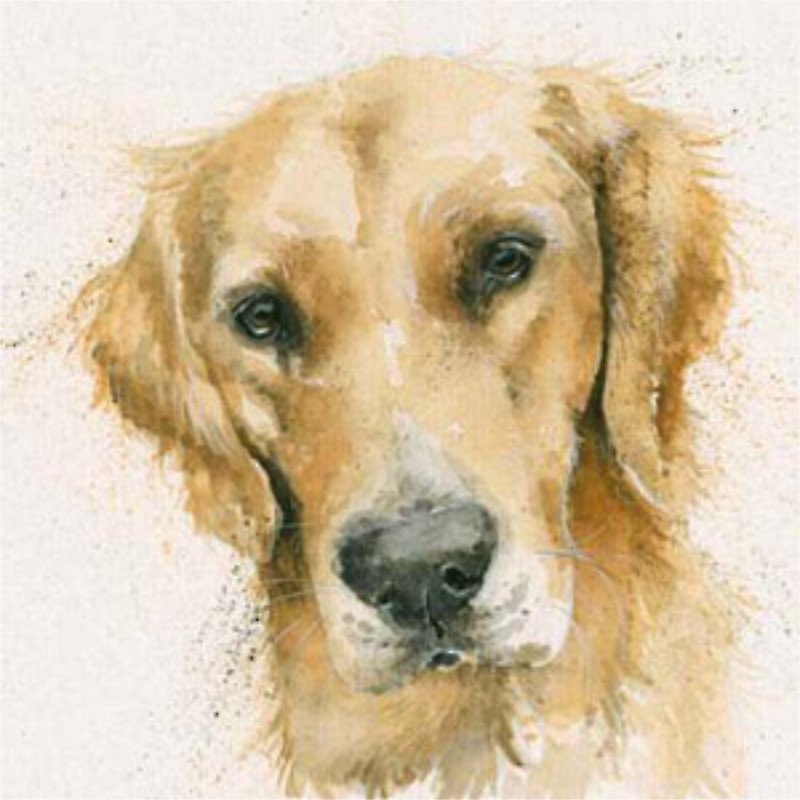 Henry (Retriever) Henry (Retriever)