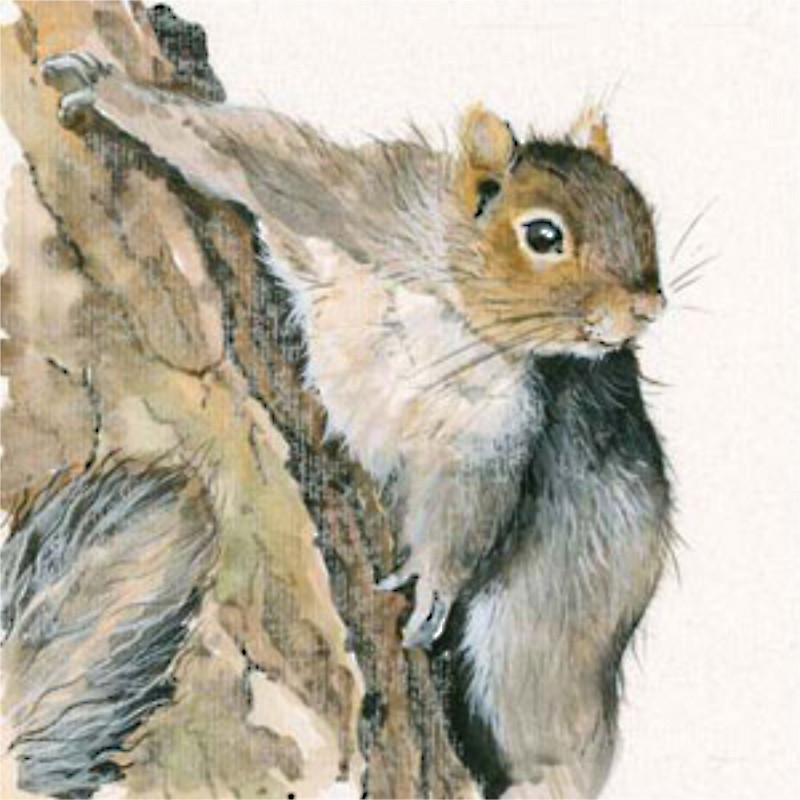 Tree Hugger (Grey Squirrel) Tree Hugger (Grey Squirrel)