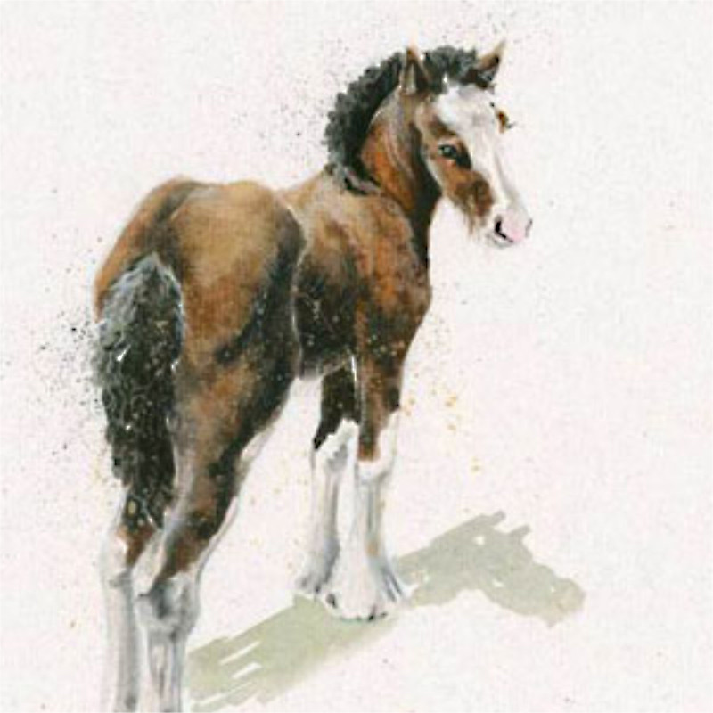 Little Big Man (Clydesdale) Little Big Man (Clydesdale)
