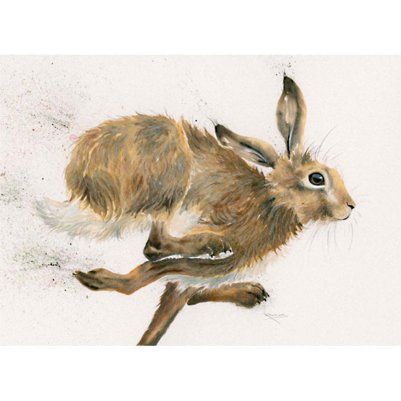 Too Da Loo (Hare) -SML Too Da Loo (Hare) -SML