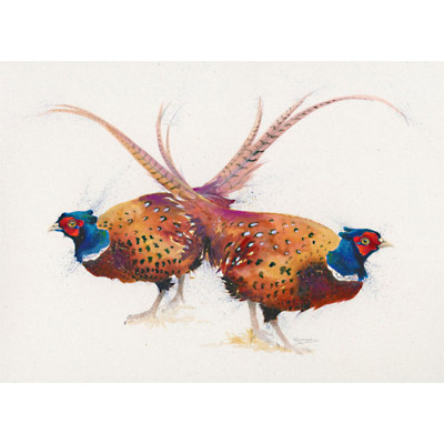 Pheasant Greetings (Pheasant) - LGE