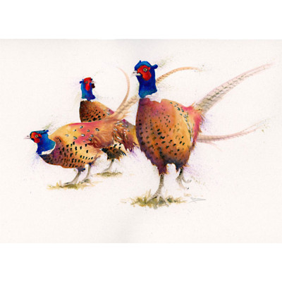 The Gentry (Pheasants) - LGE