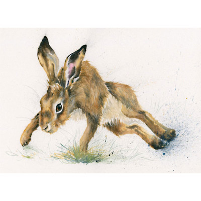 Twister (Hare) - LGE