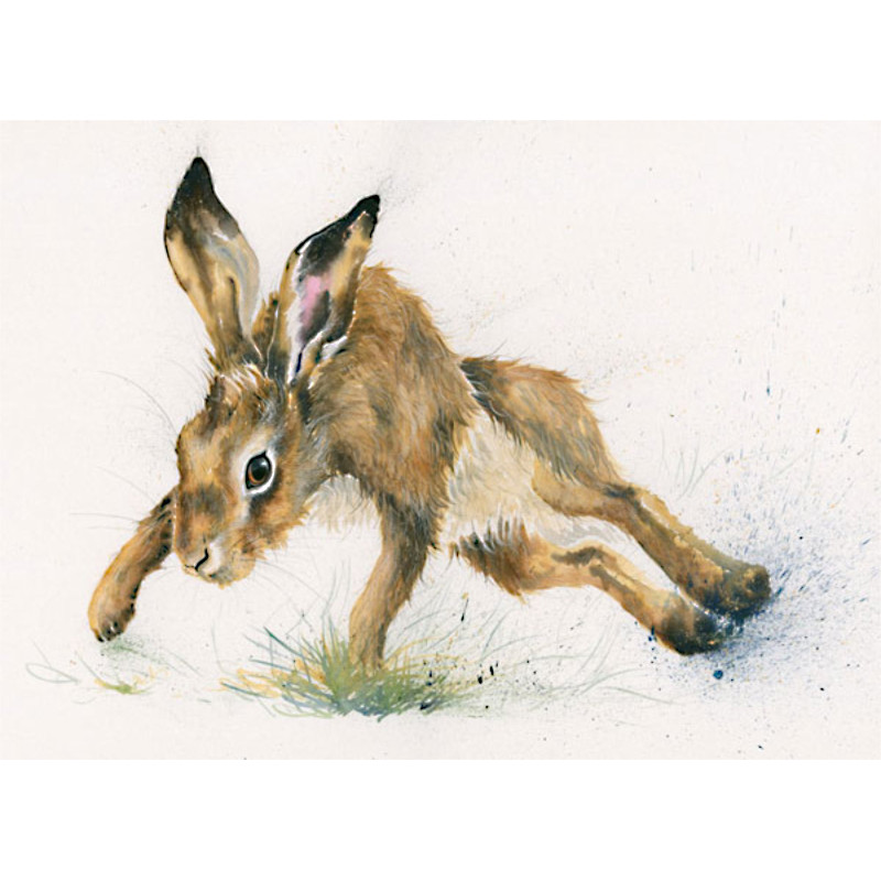 Twister (Hare) - SML Twister (Hare) - SML