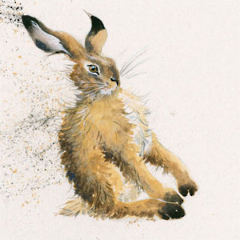 Woosh (Hare)