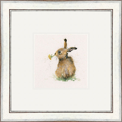 Kenny (Hare)
