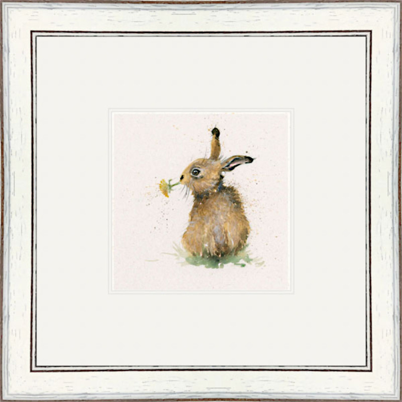 Kenny (Hare) Kenny (Hare)