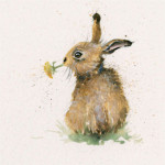 Kenny (Hare) Kenny (Hare)
