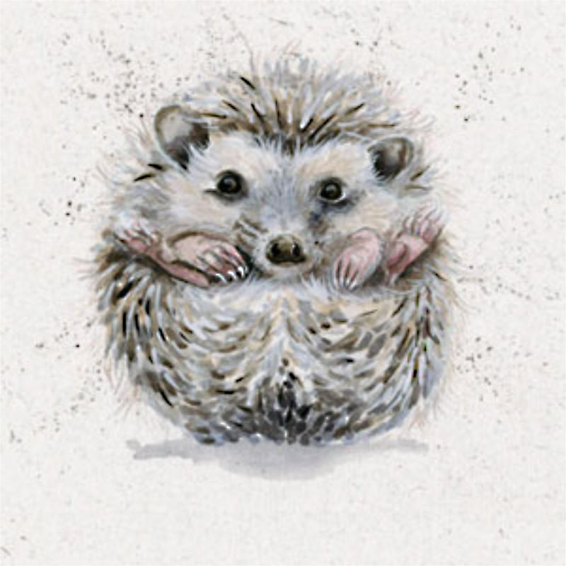 Getting Round To It (Hedgehog) Getting Round To It (Hedgehog)
