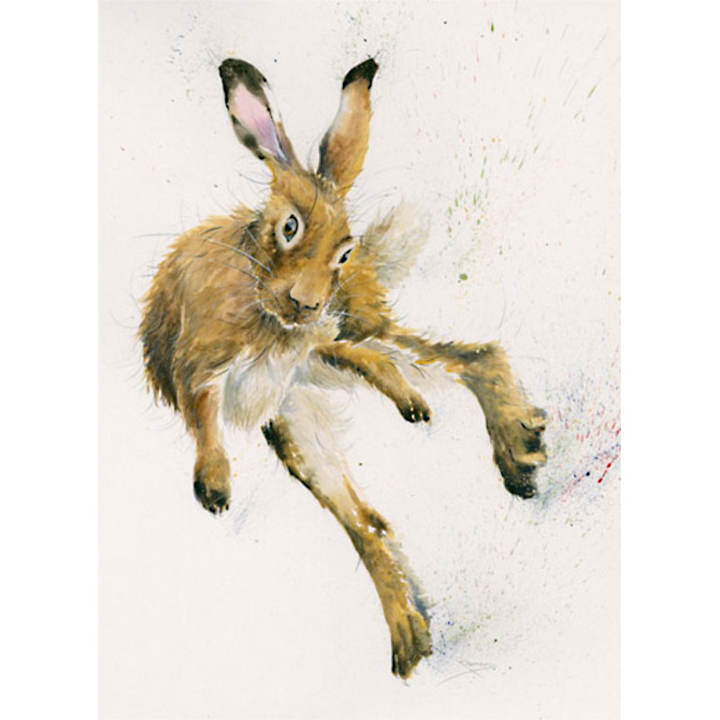 Flippin Mental (Hare) - SML Flippin Mental (Hare) - SML