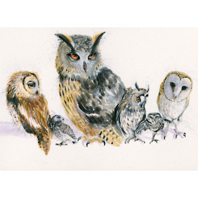 Holding Parliament (Owls) - LGE