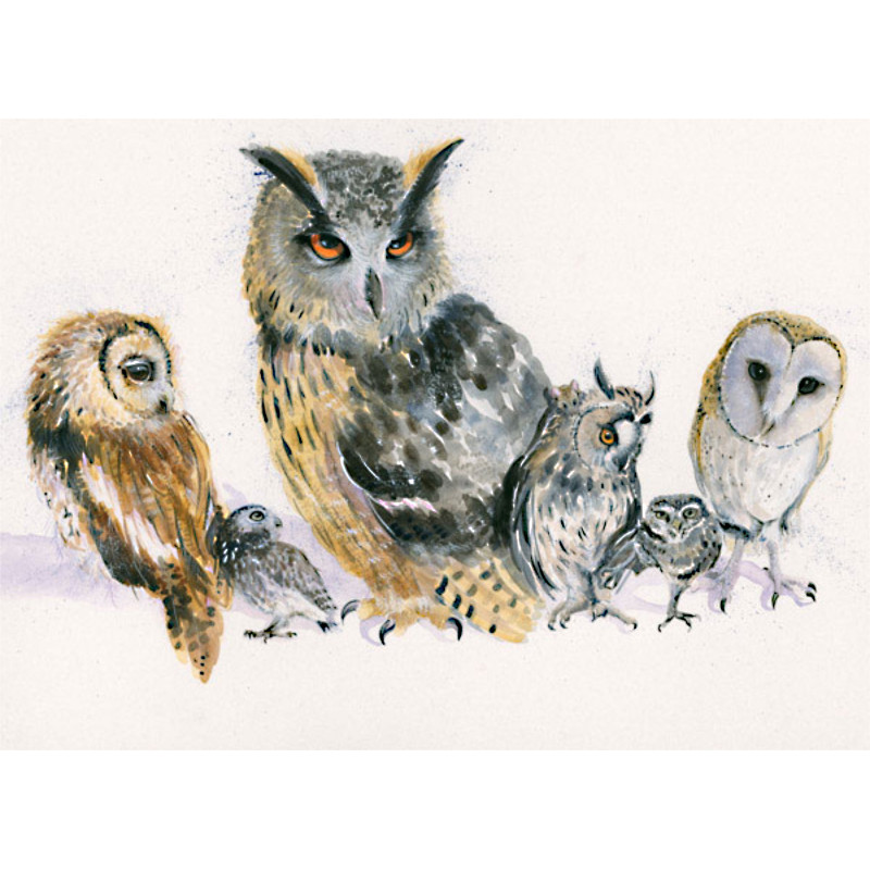 Holding Parliament (Owls) - SML Holding Parliament (Owls) - SML