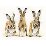 Hare No Evil (Hares) - SML