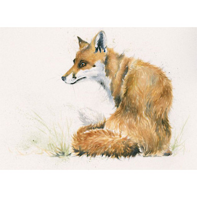 Vixen (Fox) - LGE