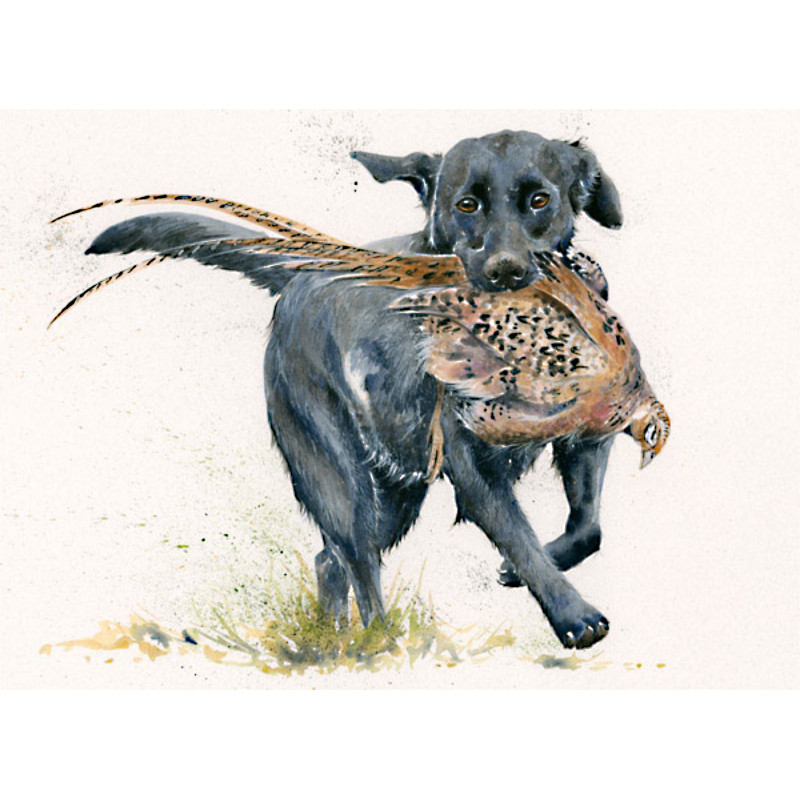 Special Delivery (Lab) - LGE Special Delivery (Lab) - LGE