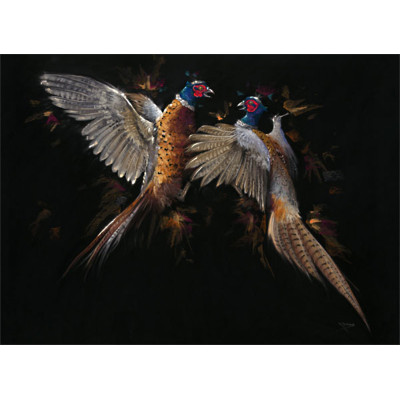 Let Feathers Fly