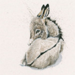 Bray Heart (Donkey) Bray Heart (Donkey)