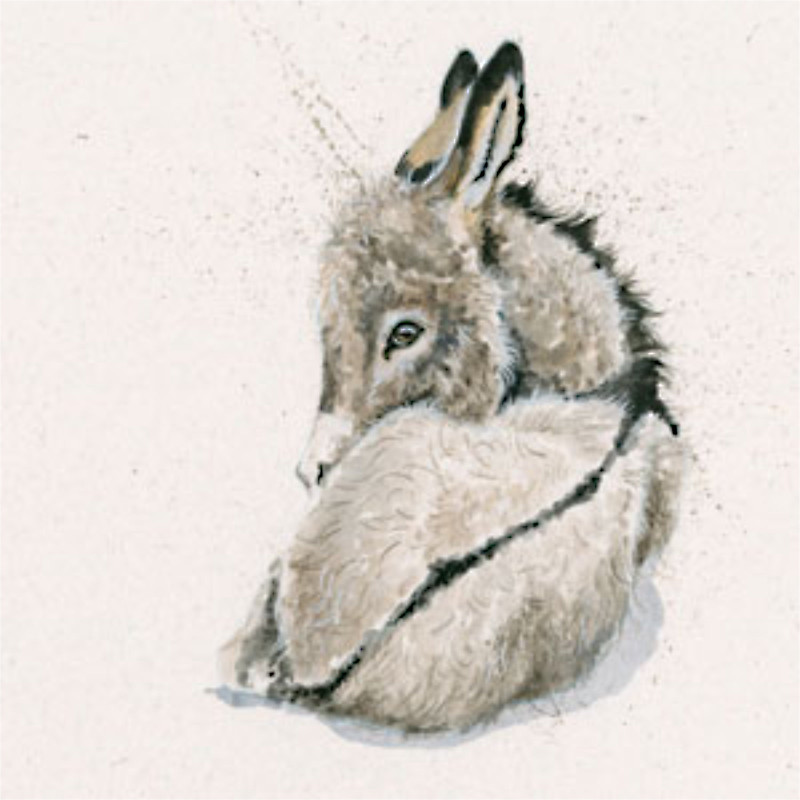 Bray Heart (Donkey) Bray Heart (Donkey)
