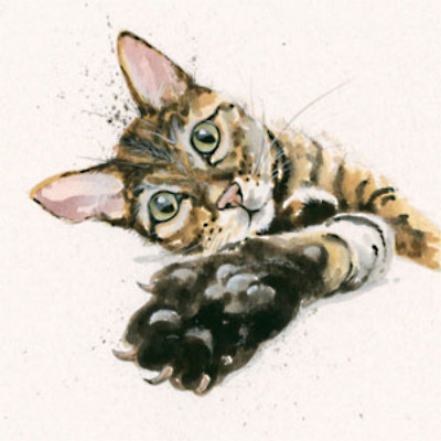 Talk To The Paw