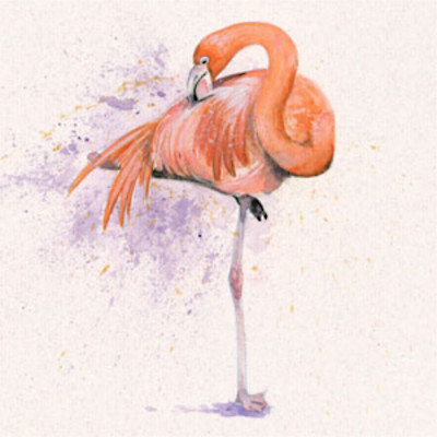Pretty In Pink (Flamingo)