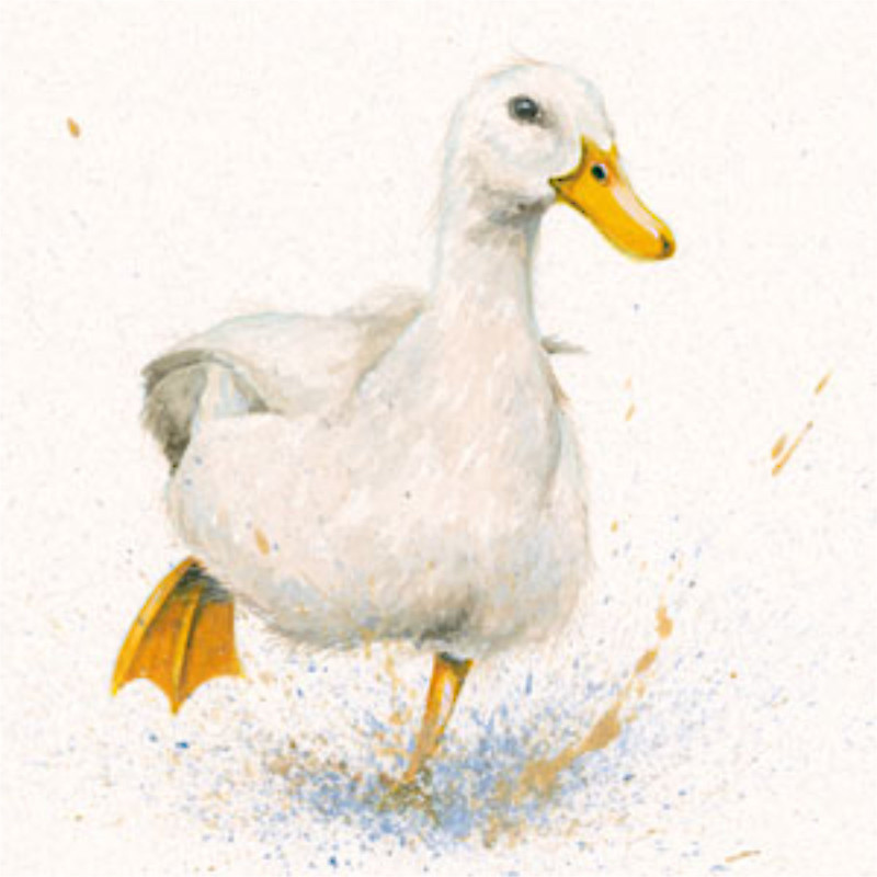 Puddle Duck Puddle Duck