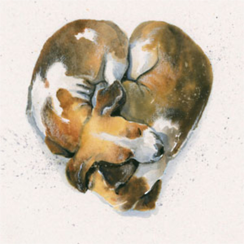 Puppy Love