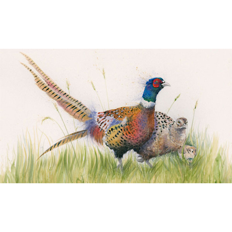 A Family Outing (Pheasants) - SML A Family Outing (Pheasants) - SML