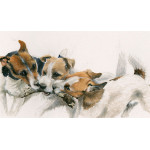 The Rat Pack (Jack Russell Terriers) The Rat Pack (Jack Russell Terriers)