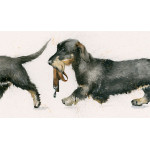 Walkies (Dachshunds) Walkies (Dachshunds)